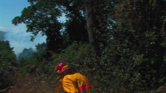 救森林火灾的消防员视频素材模板下载