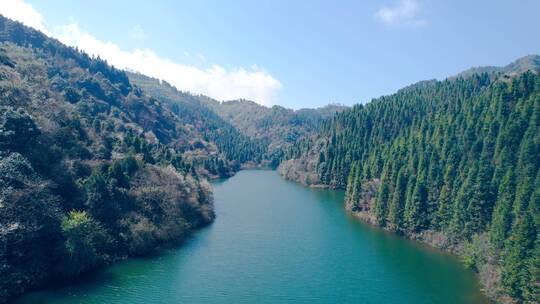 4K高清航拍欧美风河流河道水库森林自然风景