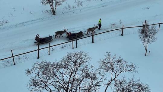 4K航拍北欧芬兰行走在雪地中场景
