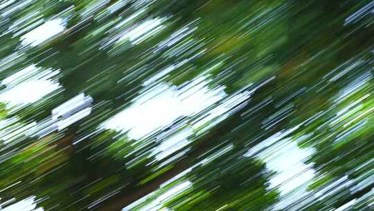 树叶光影模糊运动森林转场绿色树木快速移动