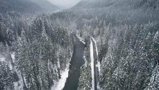 山，冬天，雪，树