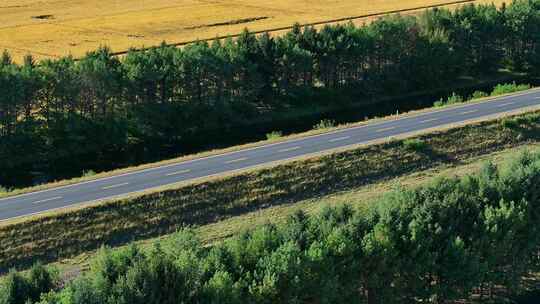 穿过树林与农田的公路航拍