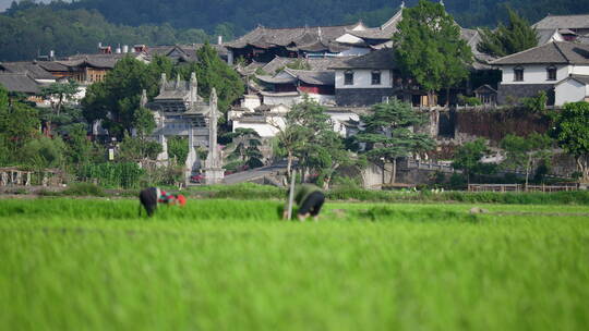 和顺古镇农耕文化