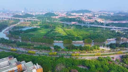 广州黄埔区长洲岛大学城航拍广东城市风景风