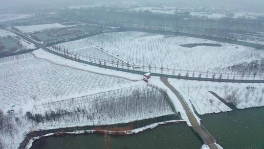 s0019-扬州雪景桃园雪景农村小镇雪景