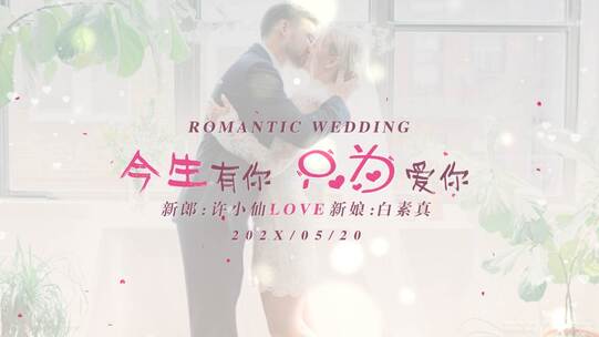 今生有你 只为爱你-婚礼MV