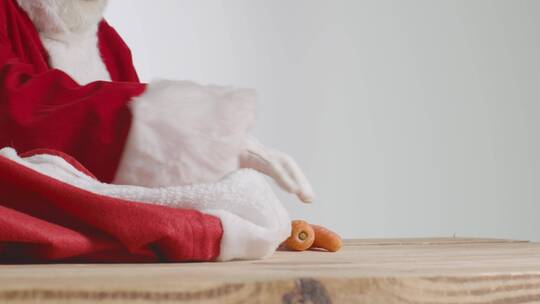圣诞老人从红袋子里拿出胡萝卜的特写镜头视频素材模板下载