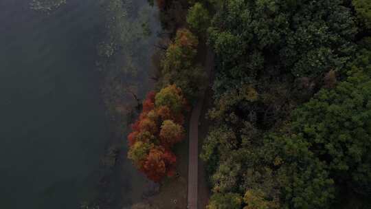 大理大理洱海秋天风景航拍