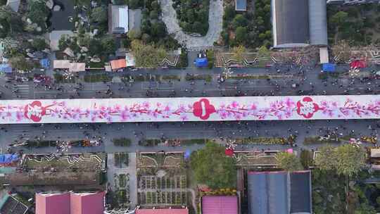 中国广东省佛山顺德区陈村花卉世界迎春花市