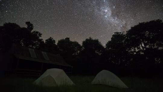 森林营地上空的星星