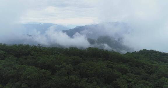 夏日雨后九顶山航拍云雾缭绕