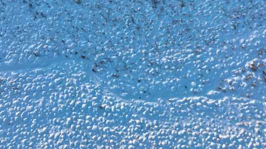 大兴安岭俯拍冬季湿地雪景塔头甸子视频素材模板下载