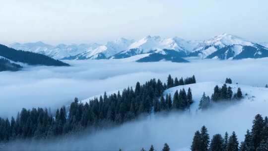 雪山森林云海全景