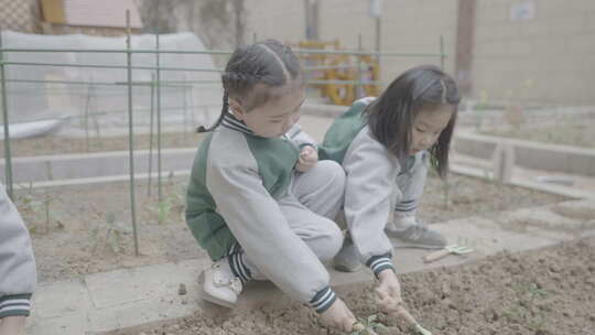 幼儿园校园生活儿童学校欢快4K素材