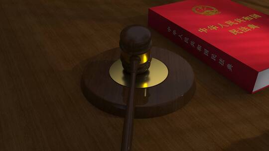 民法典 法律 法制