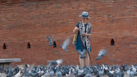 泰国旅游视频泰国清迈古城墙边喂鸽子女游客