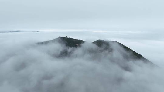 森林云海航拍山峰云雾缭绕雨后山林山脉风景