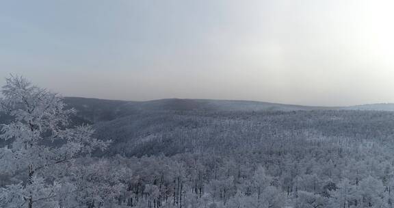 零下40度的低温航拍大兴安岭冰雪雾凇