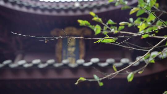 杭州飞来峰韬光寺建筑风景