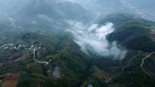 陕西秦岭镇安县海棠山