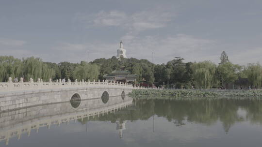 北京北海公园 白塔视频素材模板下载
