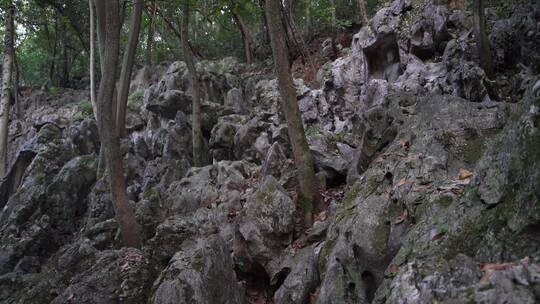 杭州灵隐寺飞来峰塑像