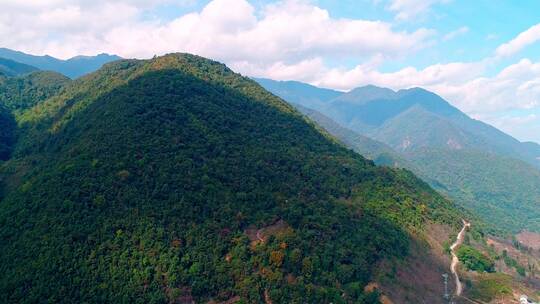 高黎贡山百花岭景区（摄影爱好者打鸟胜地）