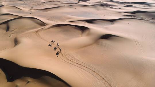 沙漠的沙丘上骆驼和人
