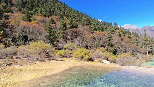 四川阿坝州黄龙景区钙化彩池