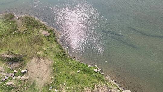 波光粼粼水面清澈河水阳光溪流水面河面湖面视频素材模板下载