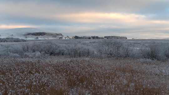 英格兰马尔哈姆，雪，树