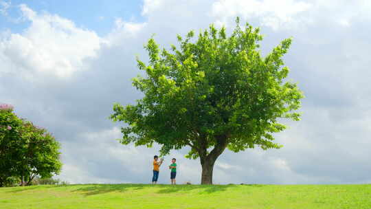 草坪 一棵树 小孩大树下玩耍 童年视频素材模板下载