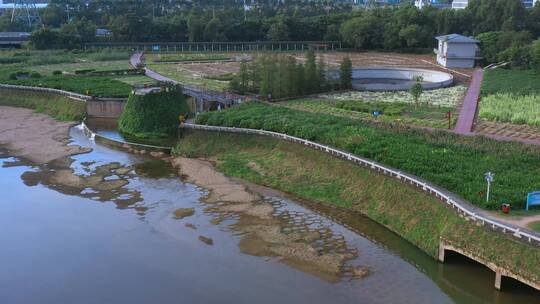 4k航拍深圳龙华观澜河湿地公园