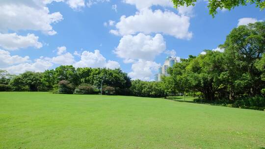 夏天蓝天白云阳光草坪草地绿地树林森林公园