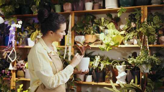 女人，花店，植物园，温室