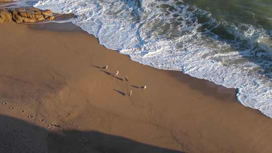 海浪拍击沙滩