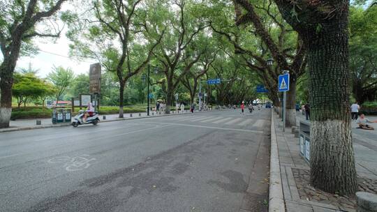 广西桂林城市道路绿树成荫的老城区街道街景