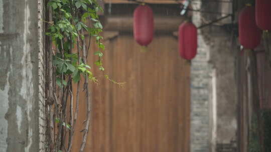 古镇小巷弄堂下雨灯笼爬山虎