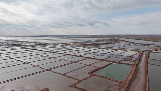 东营黄河口生态湿地冬天风光航拍