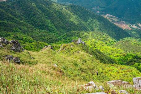 大山延时日出银河森林等