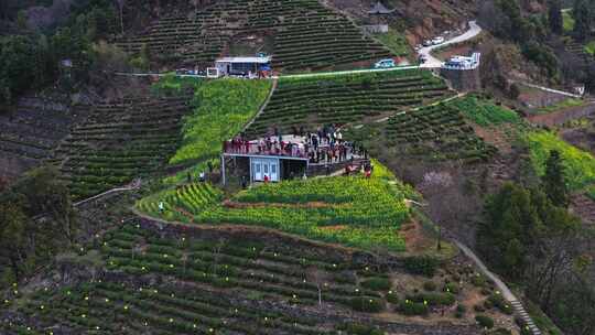 安徽黄山石潭油菜花