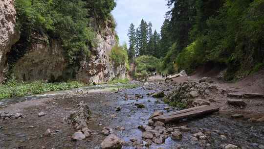 峡谷河流清澈溪水缓慢流淌