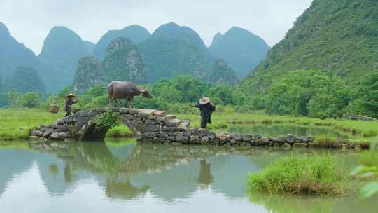 桂林山水美丽乡村田园农民劳动情景