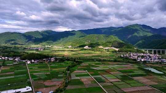 稻田乡村振兴 脱贫致富