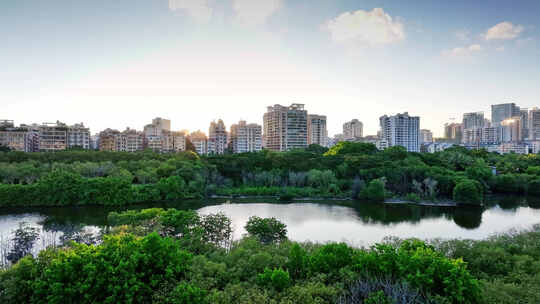 航拍海南三亚市临春河白鹭公园