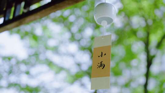 小满 小满节气 唯美风景