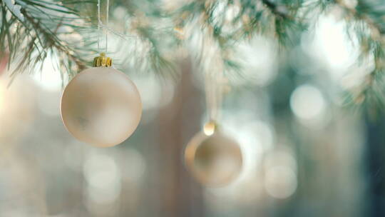 圣诞球挂在新年树的绿色树枝上