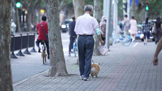 升格镜头上海傍晚老人遛狗