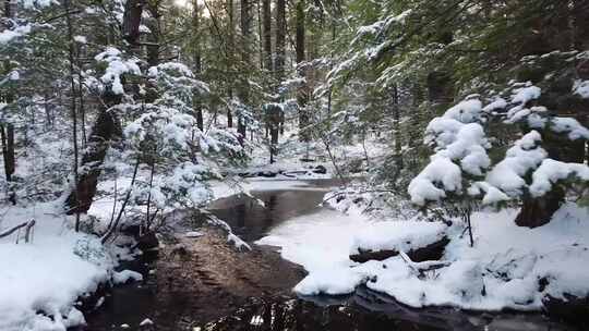 森林雪景、溪流视频素材模板下载