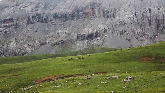 扎尕那草原云雾山峰